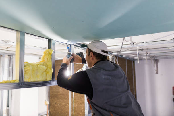 Types of Insulation We Offer in Woodsboro, TX