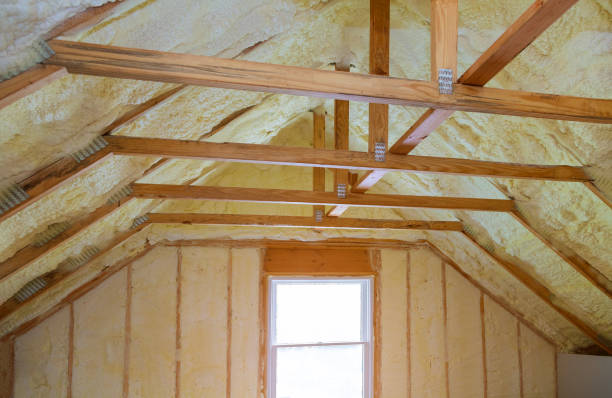 Best Spray Foam Insulation in Woodsboro, TX