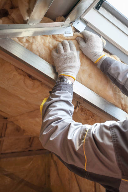 Best Energy Efficiency Insulation in Woodsboro, TX