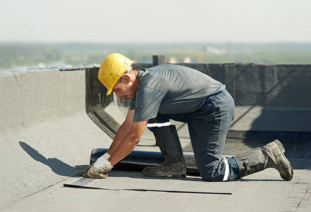 Best Insulation Maintenance and Repair in Woodsboro, TX