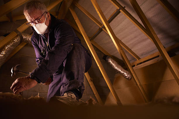 Best Cellulose Insulation in Woodsboro, TX